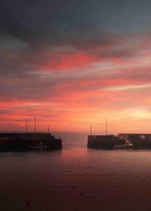 No3 By The Sea A 5 Star Cozy Coastal Cottage Saint Monance Exteriér fotografie